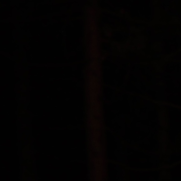 osteenscarlett